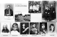 Долгий запах черёмухи